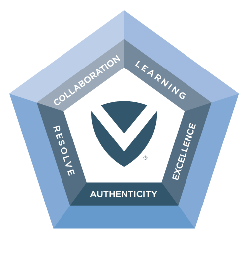 CLEAR Values Icon